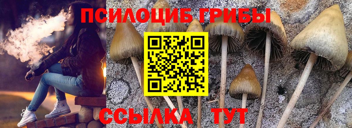 Полевской  Галлюциногенные грибы прущие грибы  Вход с VPN 